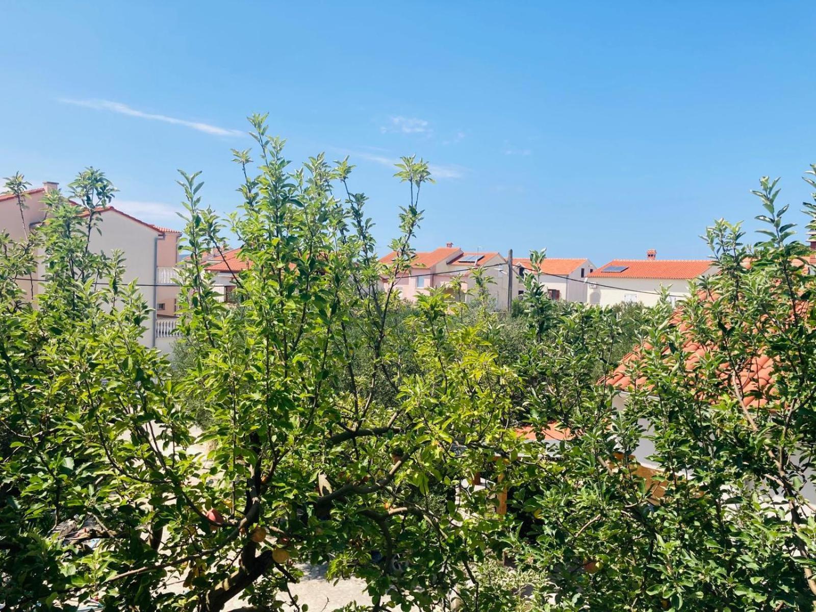 Apartment Mrkic Biograd Na Moru Eksteriør bilde